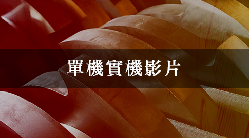 單機實機影片